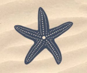 Logo Rockanje aan zee brocante